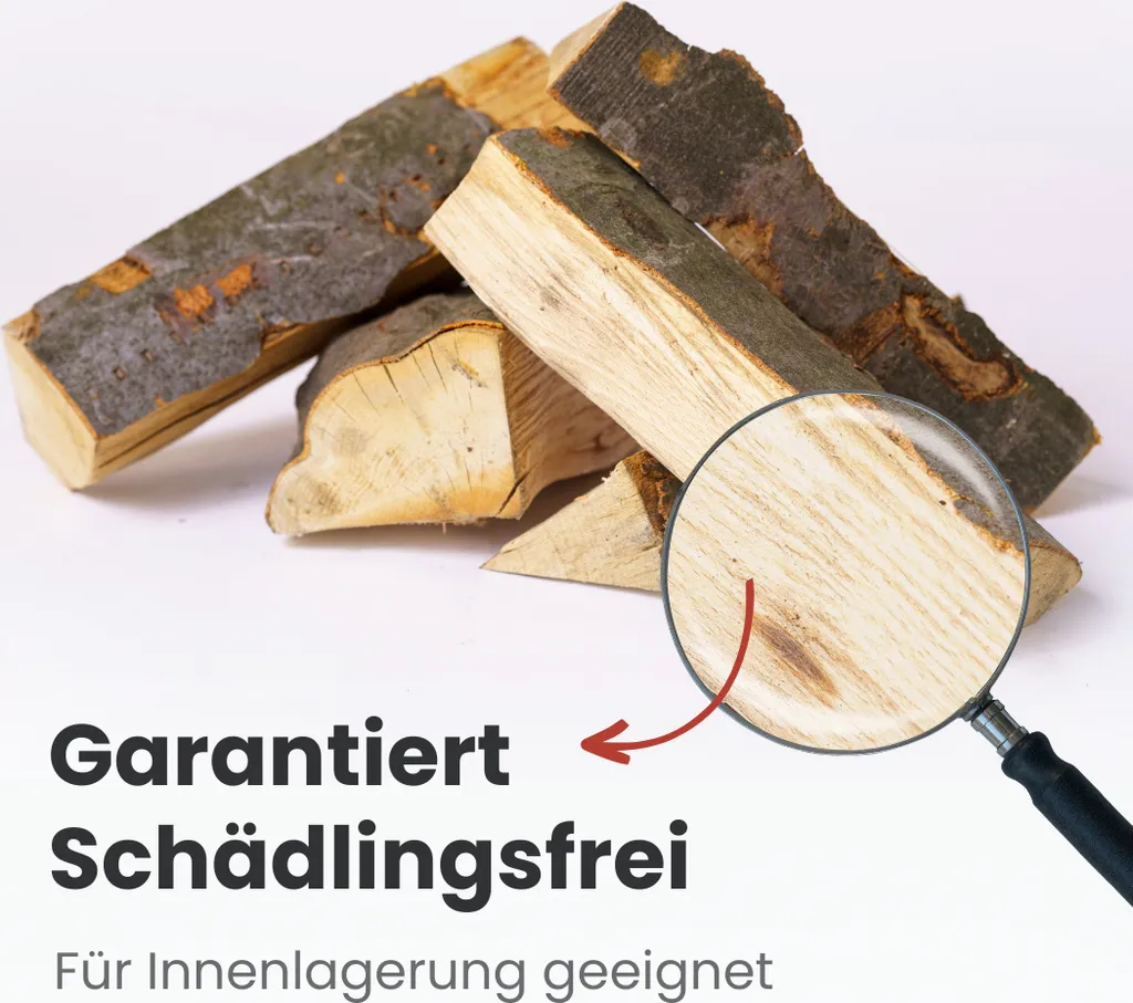 Buchen-Brennholz – 1 RM / 1,6 SRM – 25 cm – 500 kg