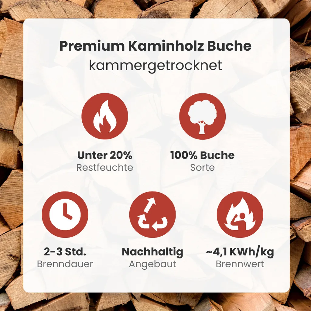 Buchen-Brennholz – 1 RM / 1,6 SRM – 25 cm – 500 kg