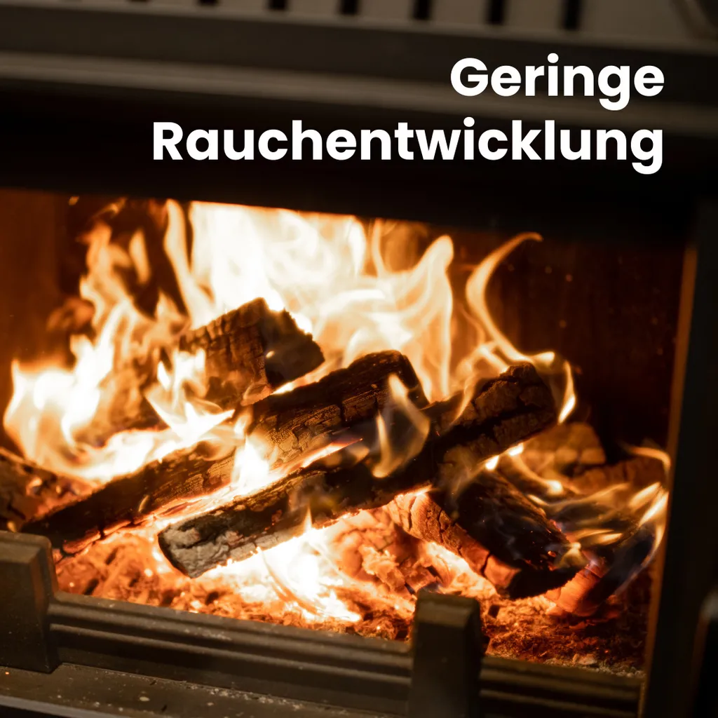 Buchen-Brennholz – 1 RM / 1,6 SRM – 25 cm – 500 kg